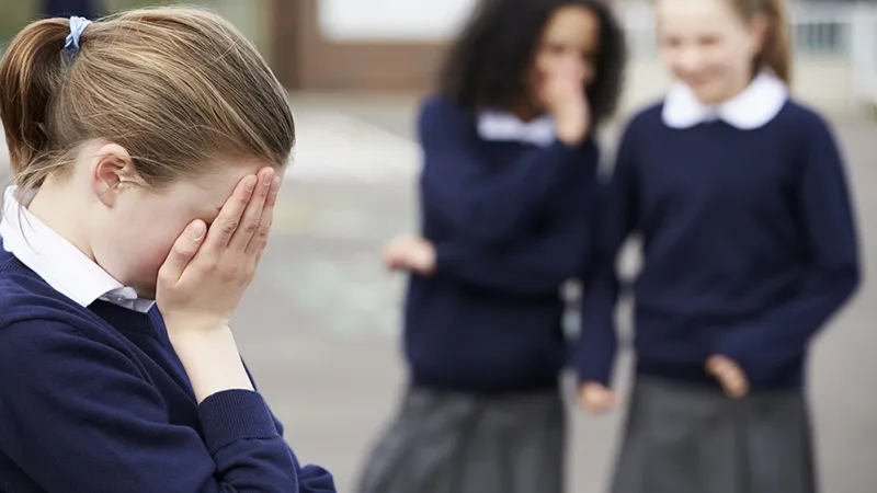 CONSEQUÊNCIAS DO BULLYING